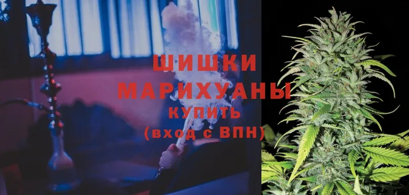 Шишки марихуана THC 21%  Дно 